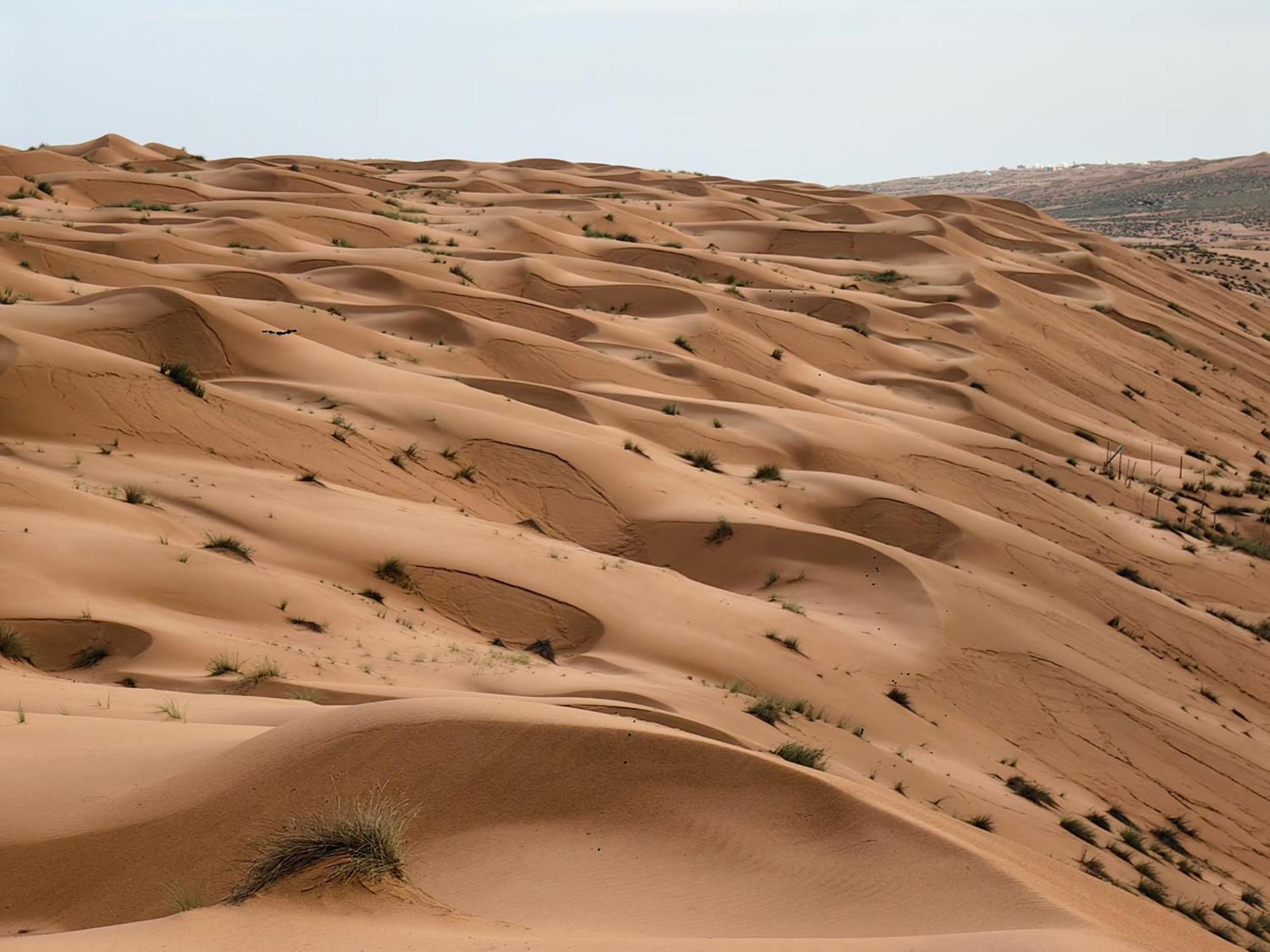 Desert Rose Camp Bidiya Bagian luar foto